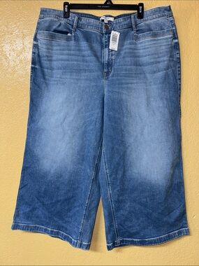 Torrid jeans Subcategory Identification